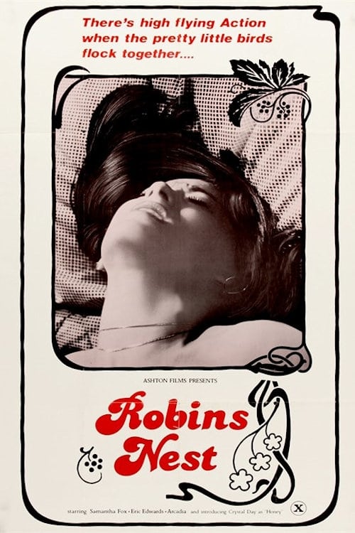 Robins Nest (1980) - Original Poster - vintagepornfun.com