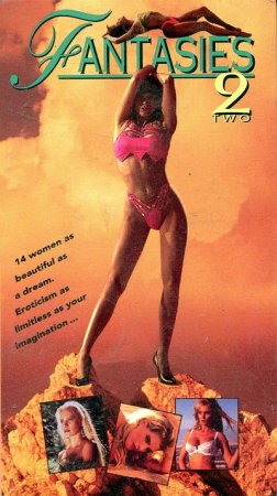 Fantasies 2 (1993) - Original Poster - vintagepornfun.com