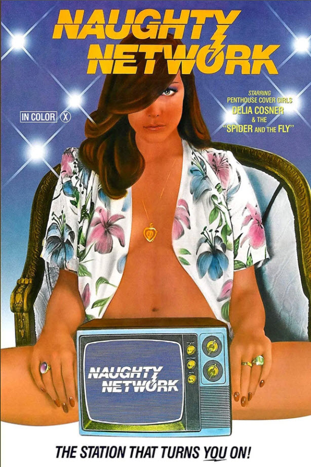 Naughty Network (1981) - Original Poster - vintagepornfun.com