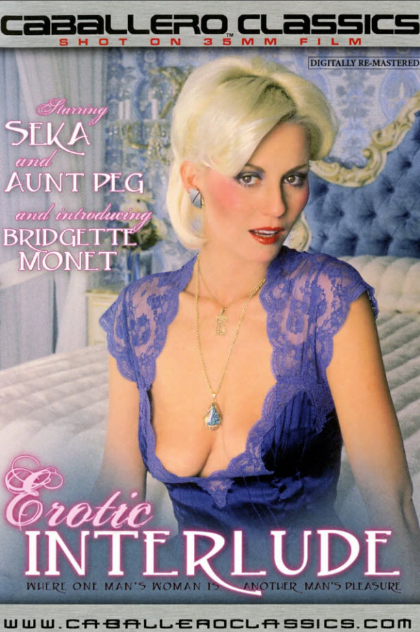 Erotic Interlude (1981) - Original Poster - vintagepornfun.com