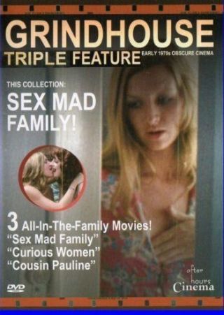 Sex Mad Family (1973) - Original Poster - vintagepornfun.com