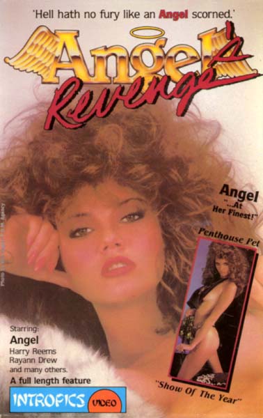 Angel's Revenge (1985) - Original Poster - vintagepornfun.com